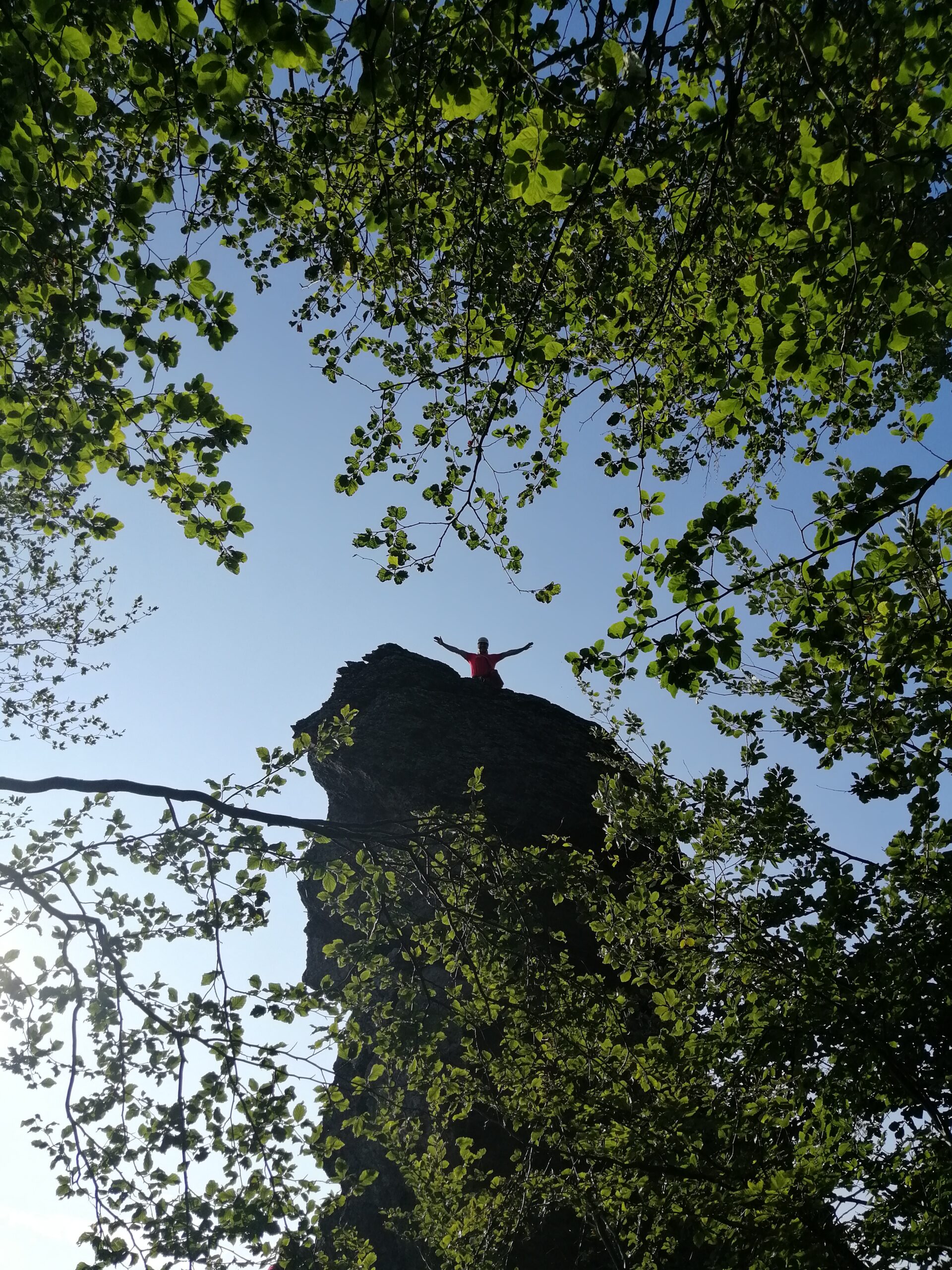 Natură sălbatică