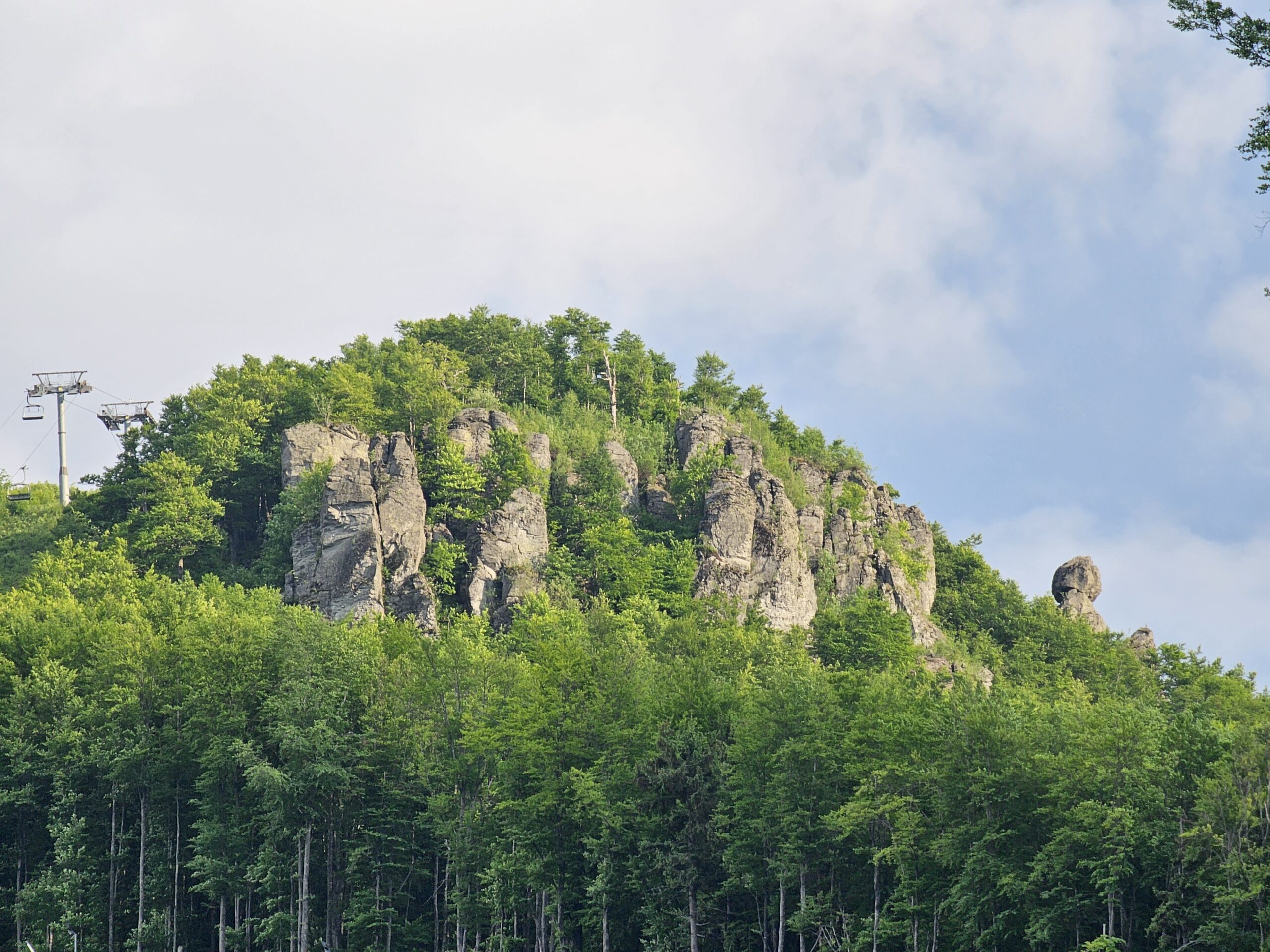 Pădure Țara Oașului